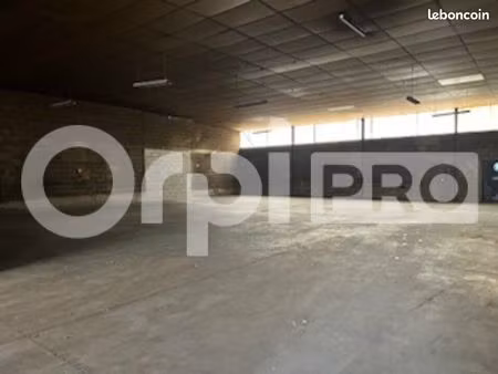local d'activité 500 m²
