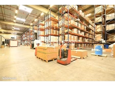 local d'activité 3 876 m²