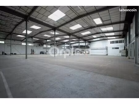 local d'activité 3 260 m²