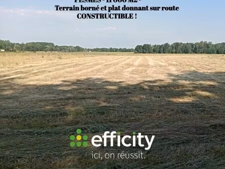 terrain 11 000 m² pesmes