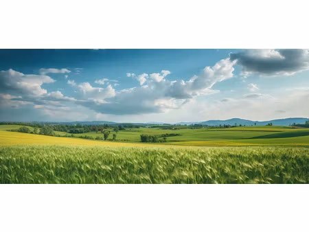 vente terrain 2900 m² à lubersac (19210)  18 500 €