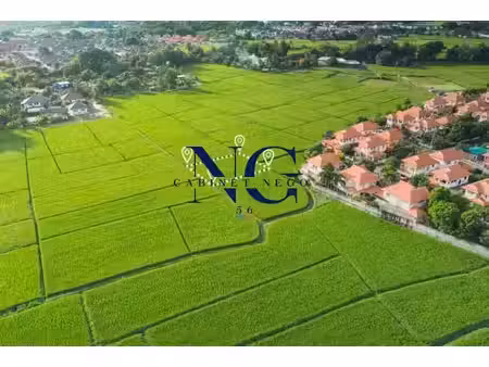 vente terrain 345 m² à saint-barthelemy (56150)  29 900 €
