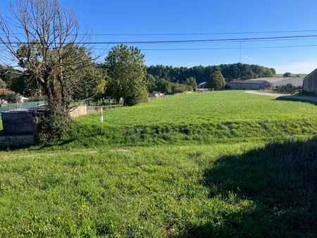 vente terrain 1000 m² à saint-jean-d'angély (17400)  19 000 €