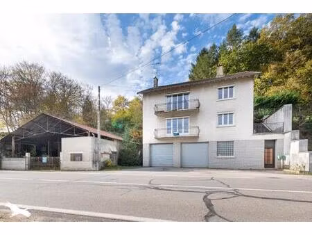 vente immeuble isle (87170)