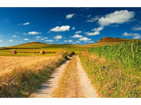 vente terrain 1500 m² à albussac (19380)  25 000 €