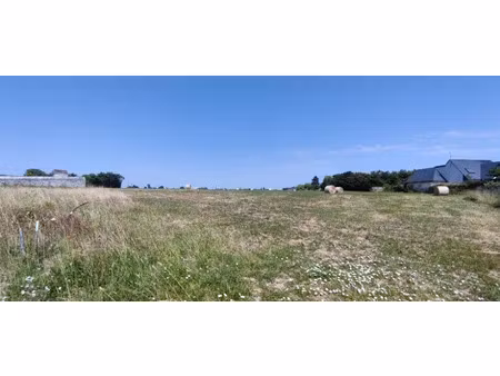 vente terrain 467 m² à jarzé (49140)  47 634 €