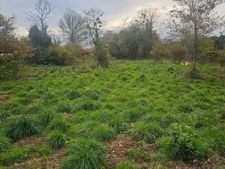 vente terrain 1200 m² à noaillan (33730)  80 000 €