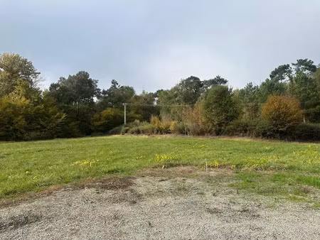 vente terrain à batir 4147 m² à cleyrac (33540)  69 475 €