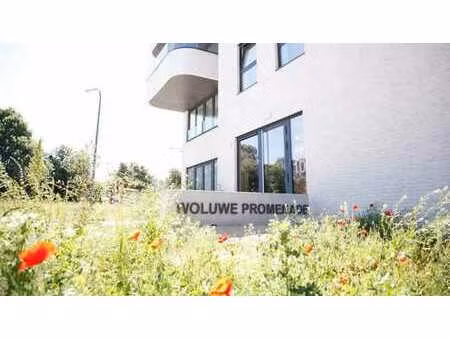 appartement meublé 2 chambres a louer