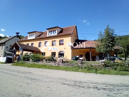 immeuble professionnel avec appartement de fonction