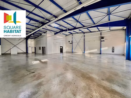 a louer - cellule d'activité 387m²