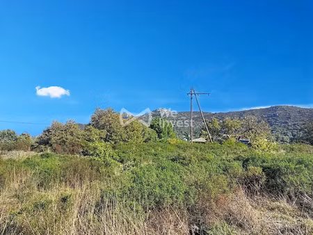 vente terrain 2109 m² à cateri (20225)  237 000 €