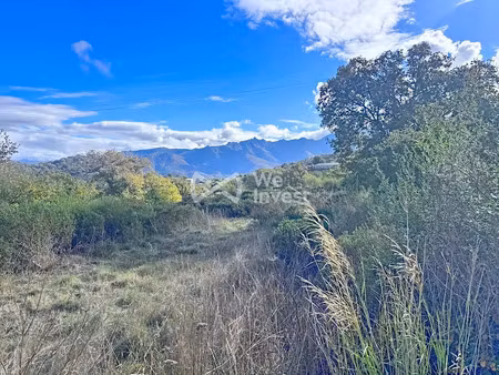 vente terrain 2559 m² à cateri (20225)  288 000 €