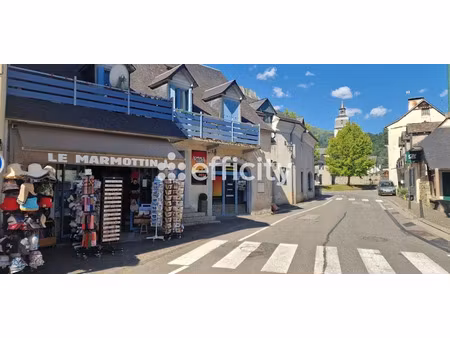 vente locaux professionnels 54 m² à argelès-gazost (65400)  58 000 €
