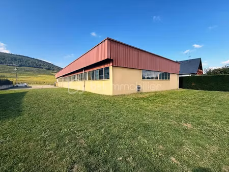 vente locaux professionnels 7 pièces 610 m² à bergholtz (68500)  480 000 €