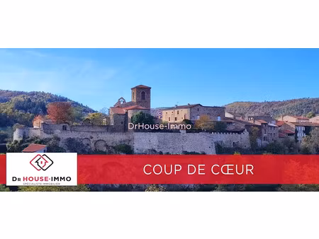 vente locaux professionnels 502 m² à vieille-brioude (43100)  137 800 €