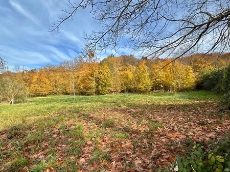 vente terrain à batir 4799 m² à villers-cotterets (02600)  165 000 €