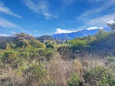 vente terrain 4668 m² à cateri (20225)  525 000 €