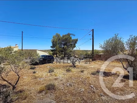 vente terrain à batir 7436 m² à opoul-périllos (66600)  519 000 €