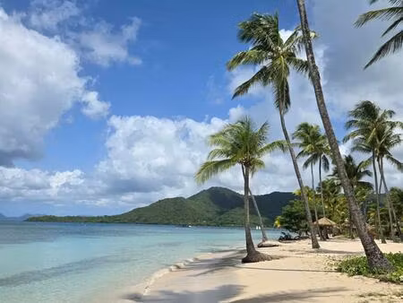 studio avec piscine à 5 minutes à pieds d'une des plus belle plage de l'ile !