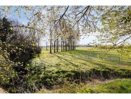 parcelle de terrain à bâtir avec maison incendiée