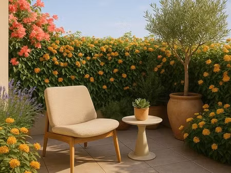 appartement terrasse