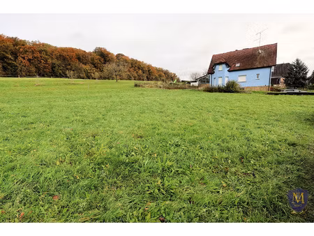 steinsoultz au calme dans une impasse terrain constructible