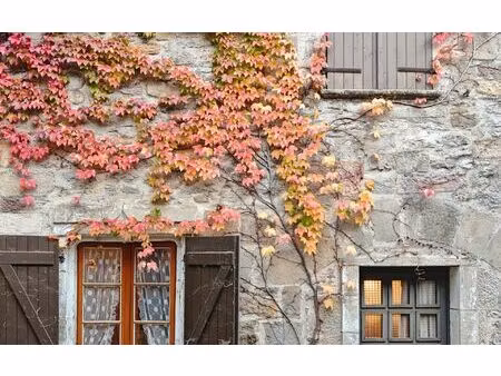 maison bruniquel m² t-3 à vendre  86 800 €