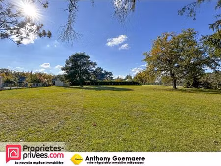 terrain pruniers en sologne 2500 m2