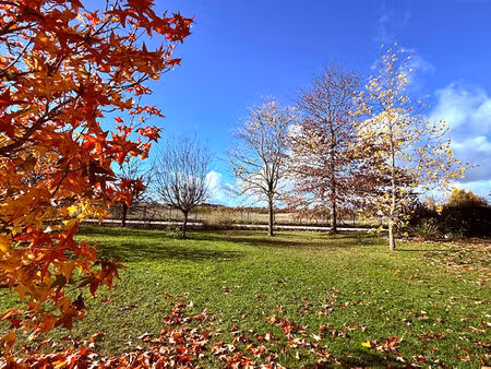 vente terrain  1000.00m²  saint