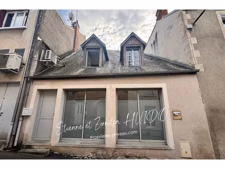 baisse de prix ? immeuble de rapport en centre-ville d'issoudun 7 pièce(s) 146 m2