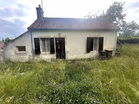 vente maison 3 pièces 55 m² à sougy-sur-loire (58300)  31 000 €