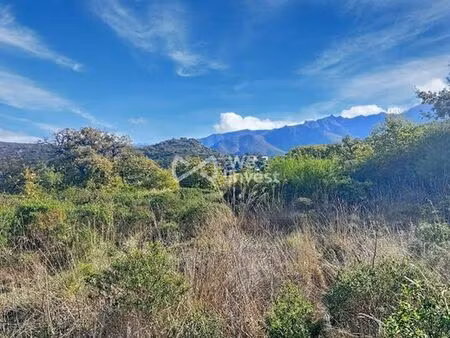 terrain de 4668 m2 - cateri  corse