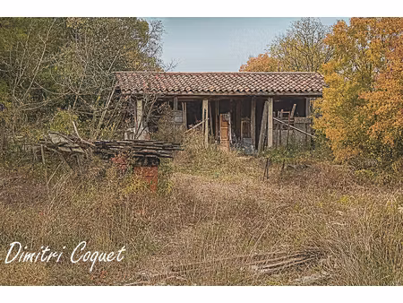 achat terrain 5 000m² coulobres 34290