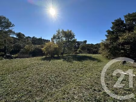 achat : terrain (06250)