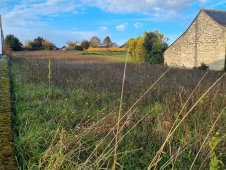 terrain à vendre - coteaux-sur-loire (37) - 45 000€