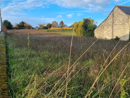 terrain à vendre - coteaux-sur-loire (37) - 35 000€