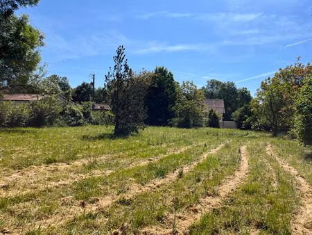 achat terrain 2 536m²
