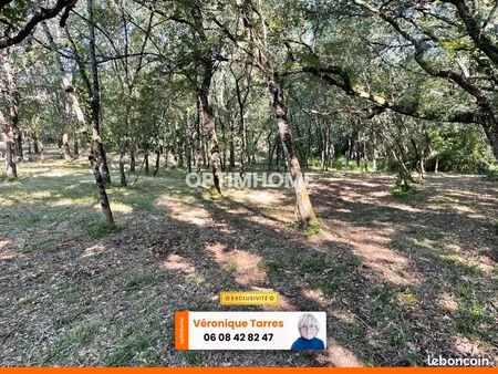 terrain 1 181 m² montaigut sur save