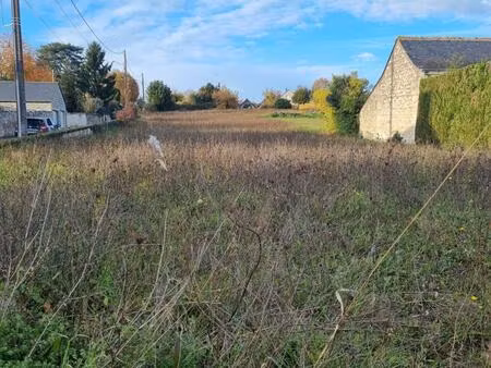 achat terrain 3 270m² coteaux sur loire 37130