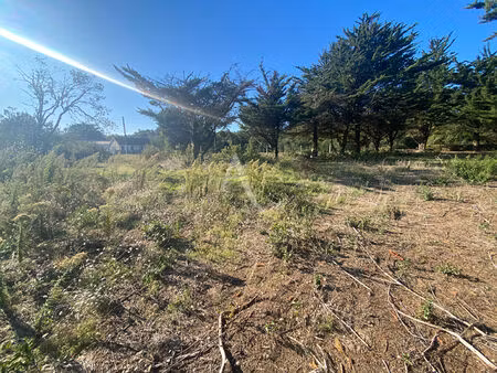 achat terrain 435m² barbatre 85630