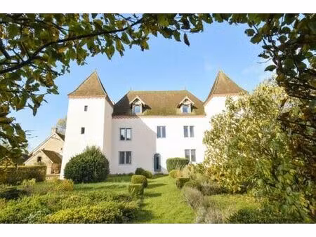 vente chateau 10 pièces 520m2 chalon-sur-saône 71100 - 1185000 € - surface privée
