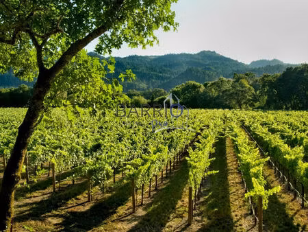 vente autres 320m2 banyuls-sur-mer (66650) - 1309000 € - surface privée