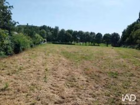 vente terrain à la chapelle-achard (85150) : à vendre / 444m² la chapelle-achard
