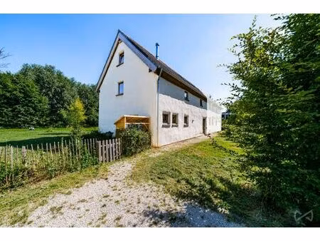 maison à vendre à chaussée de namur 14b burdinne (vbd50531)