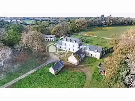 vente maison 13 pièces 420 m² saint-jean-la-poterie (56350)