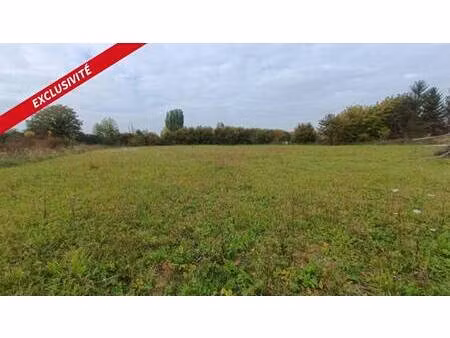 vanessa tapia consultant megagence