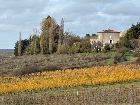 secteur castelviel (33) - domaine agricole  chateau  gites