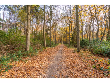 grond te koop in wuustwezel