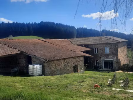 vente maison 5 pièces 103 m² cublize (69550)